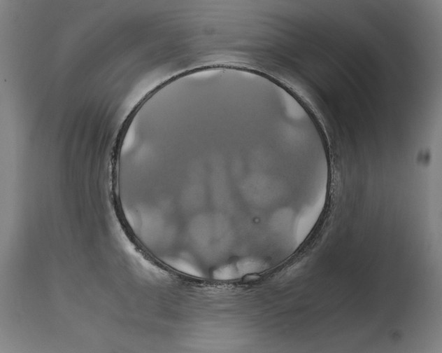 X0000114700999200911181312