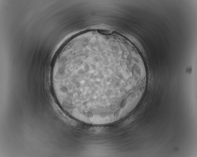 X0000114701000200911181312