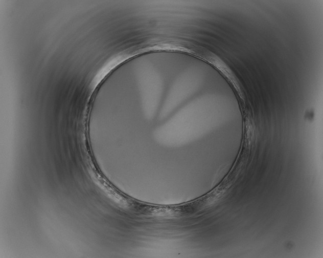 X0000114701002200911181312