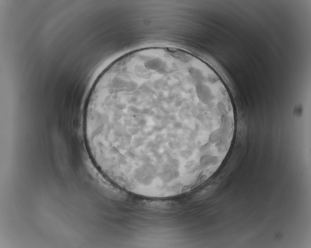 X0000114701004200911181312