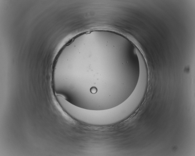 X0000114701005200911181312