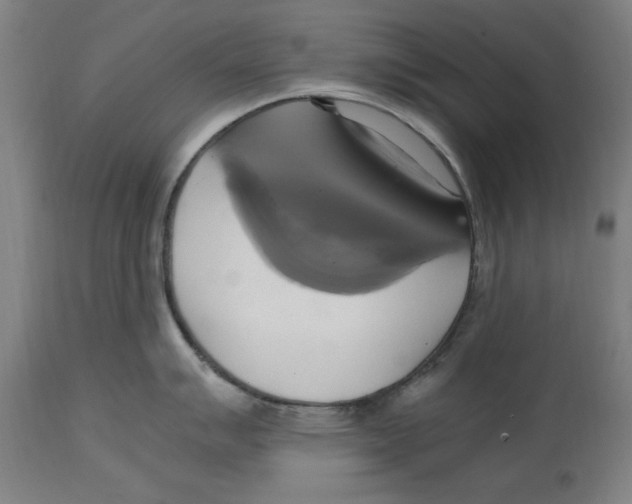 X0000114701007200911181312