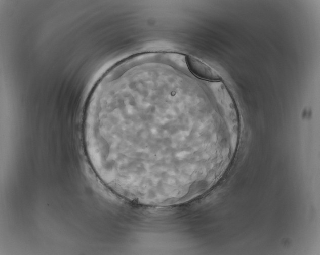 X0000114701008200911181312