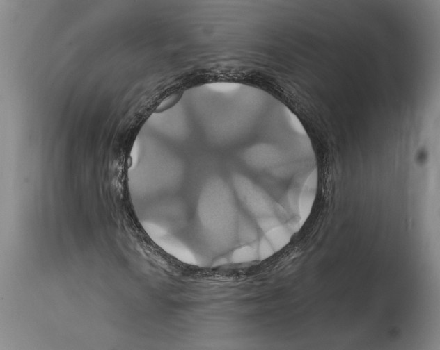 X0000114701010200911181312