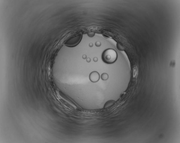 X0000114701011200911181312