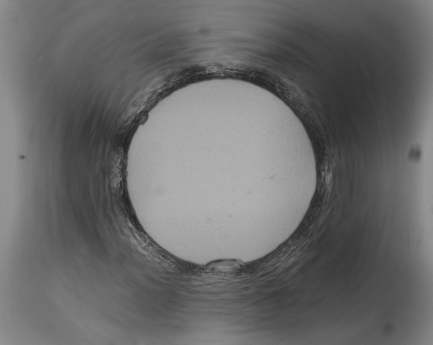 X0000114701012200911181312