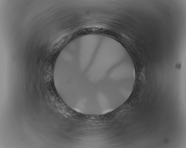 X0000114701014200911181312