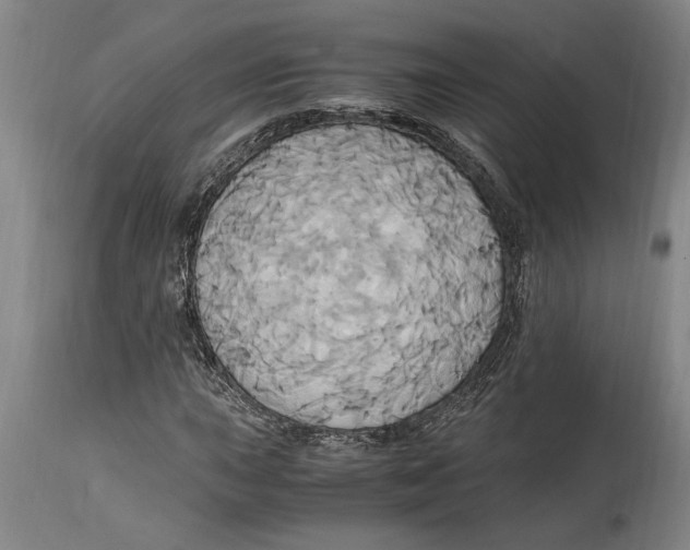 X0000114701015200911181312