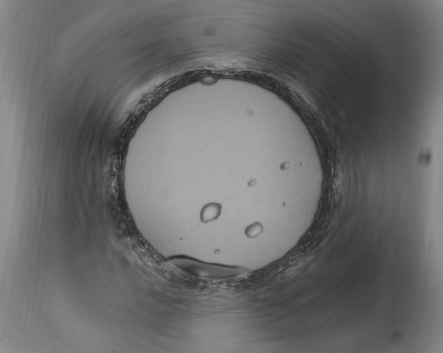 X0000114701016200911181312