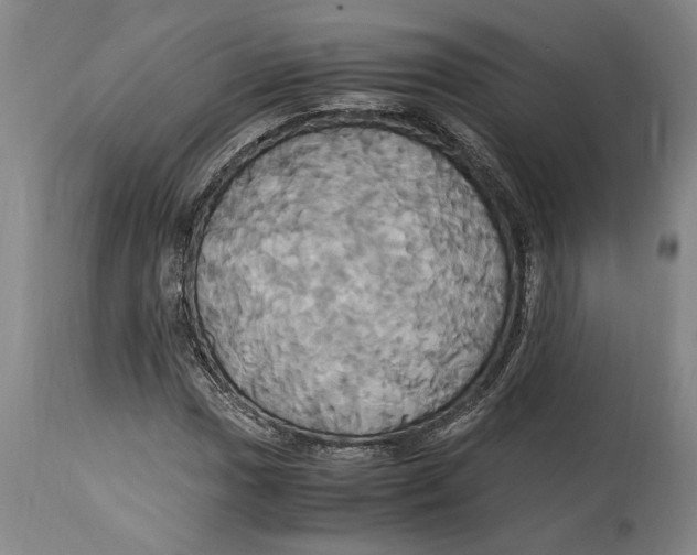 X0000114701017200911181312