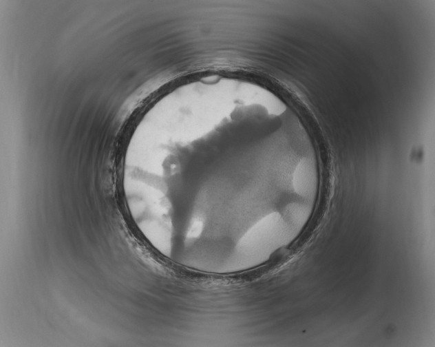 X0000114701018200911181312