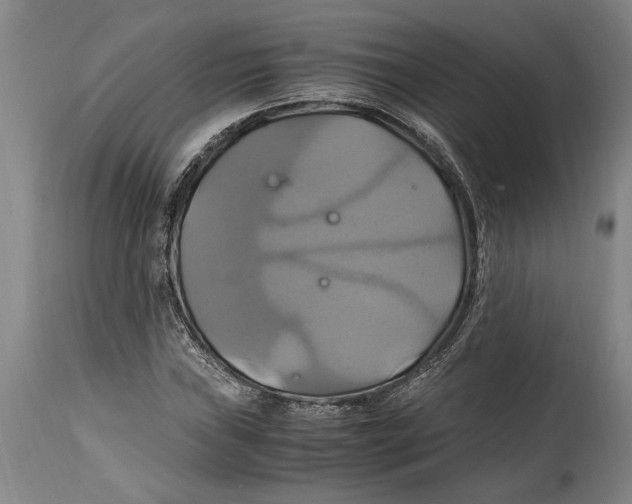 X0000114701019200911181312