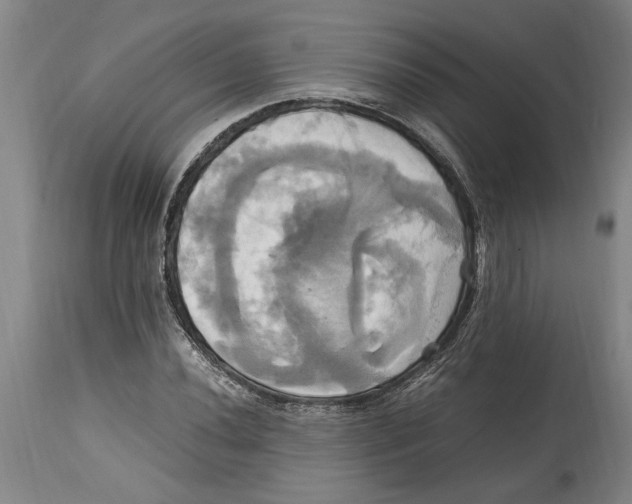 X0000114701020200911181312