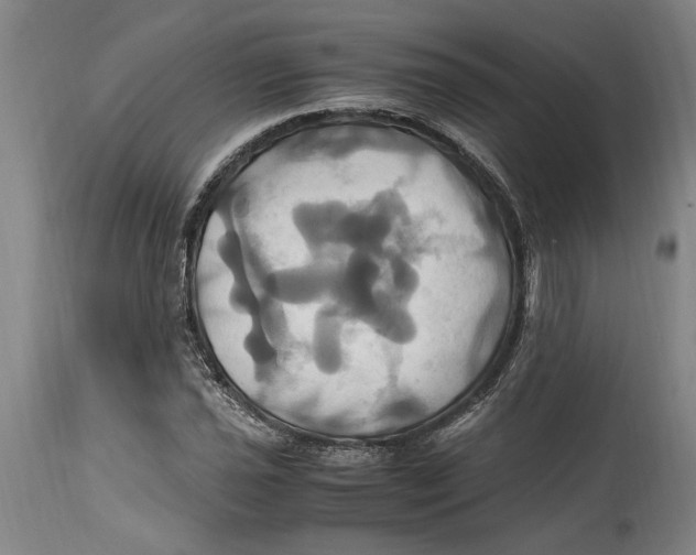 X0000114701021200911181312