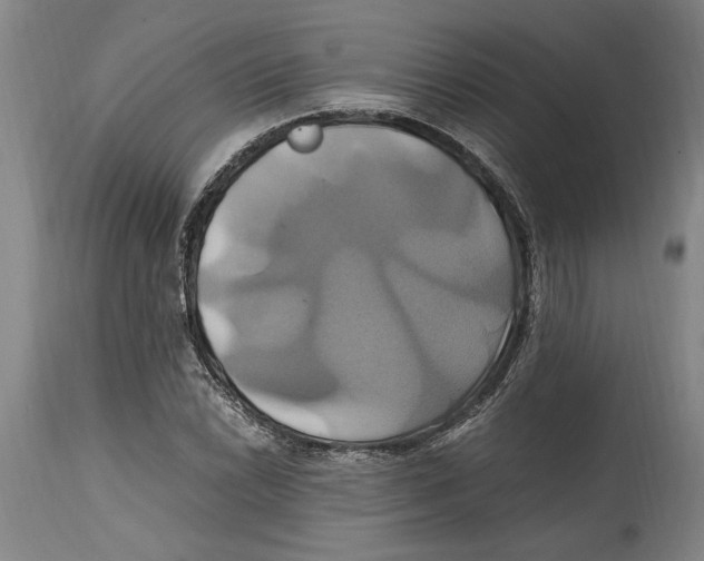 X0000114701022200911181312