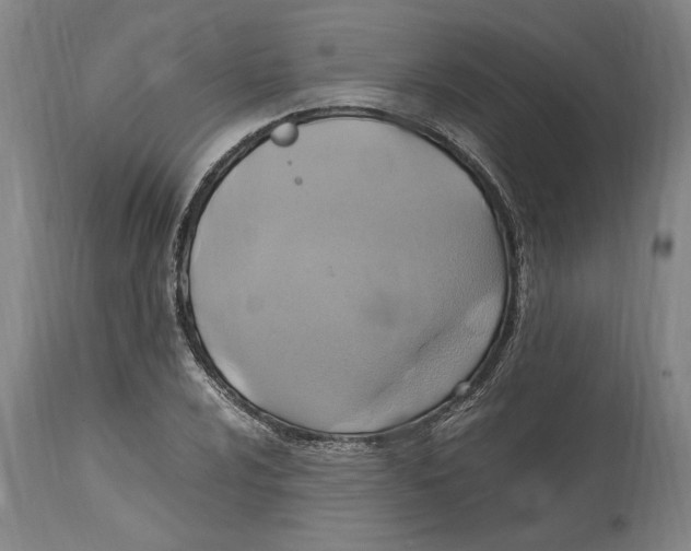 X0000114701024200911181312