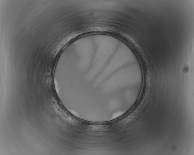 X0000114701025200911181312