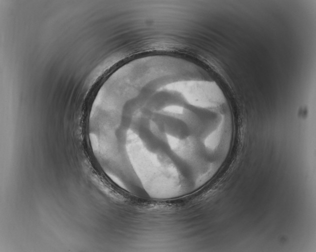 X0000114701026200911181312