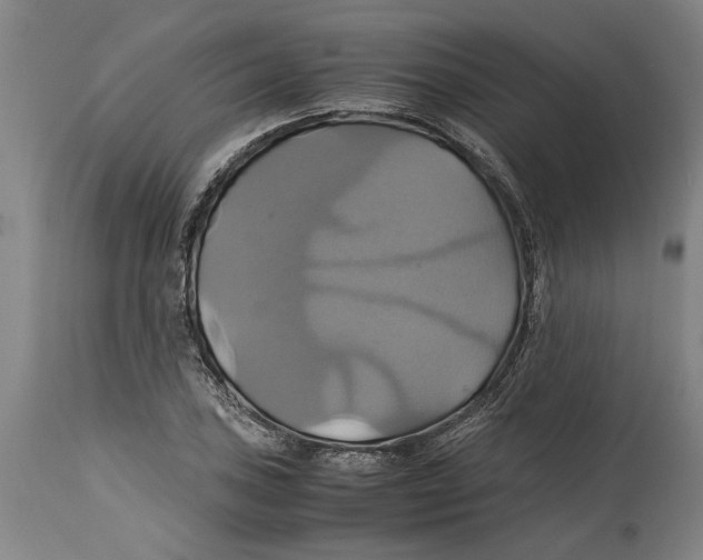 X0000114701027200911181312