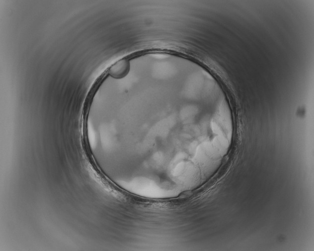 X0000114701028200911181312