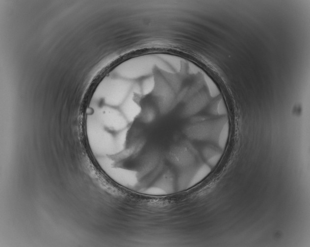 X0000114701029200911181312