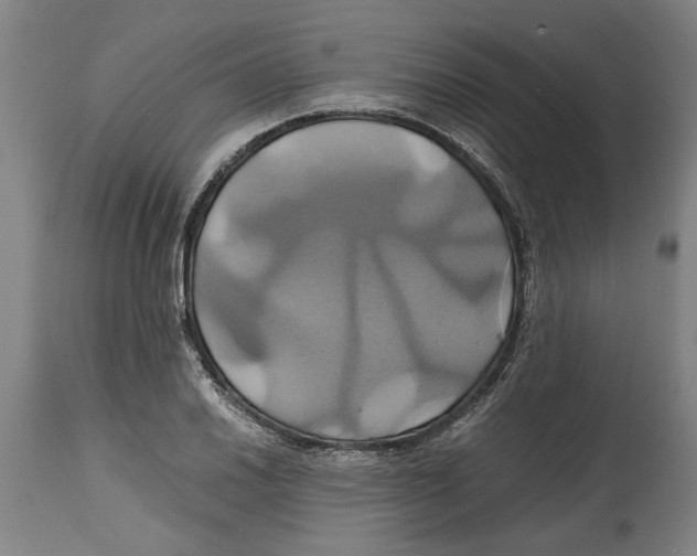 X0000114701030200911181312