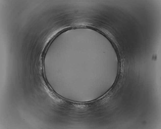 X0000114701031200911181312