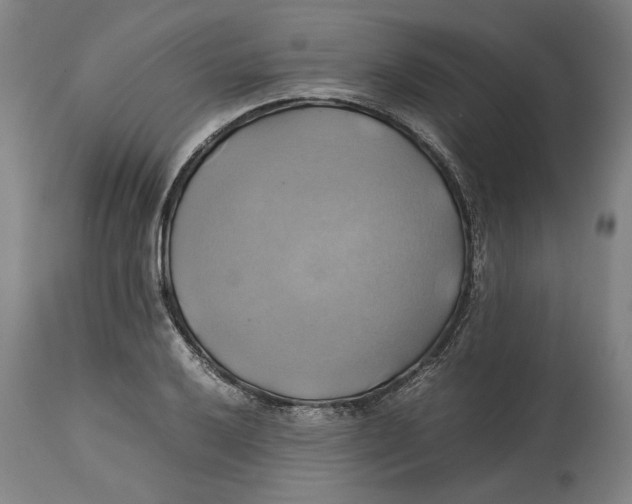 X0000114701032200911181312