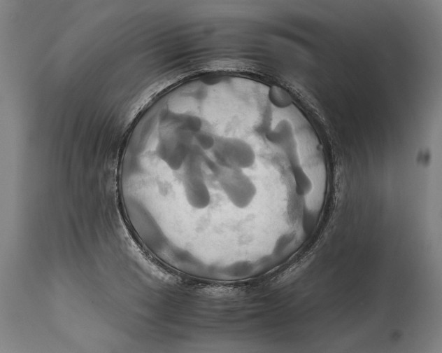 X0000114701033200911181312