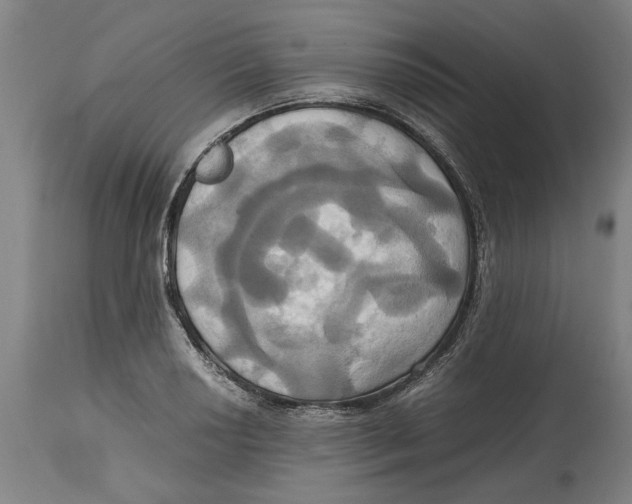 X0000114701034200911181312