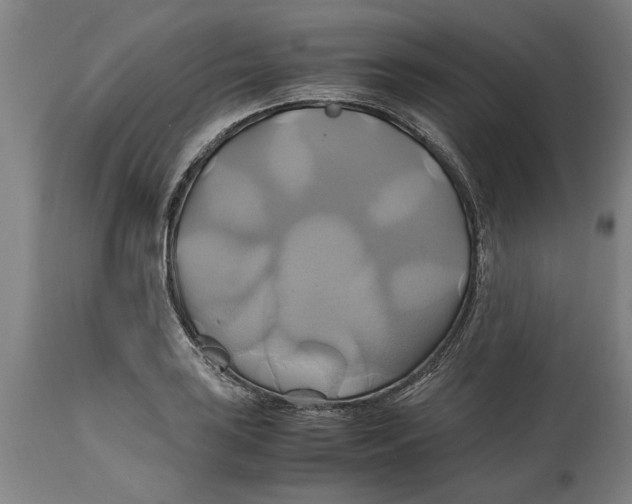 X0000114701035200911181312