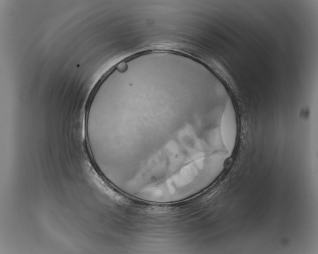 X0000114701036200911181312