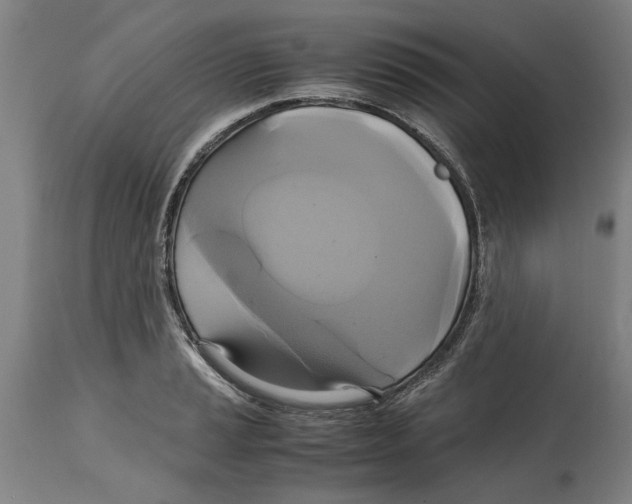 X0000114701037200911181312