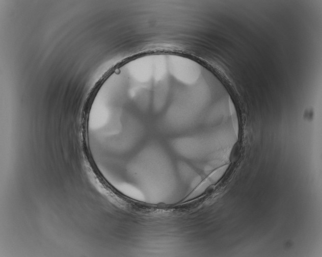 X0000114701038200911181312