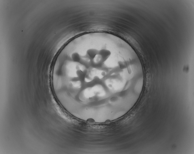 X0000114701039200911181312