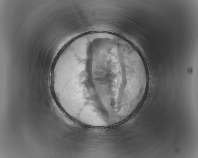 X0000114701040200911181312