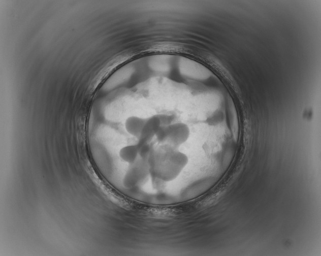 X0000114701041200911181312