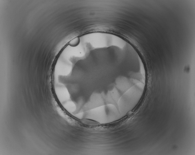 X0000114701042200911181312