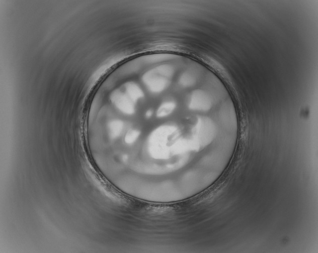 X0000114701043200911181312