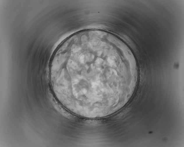 X0000114701044200911181312