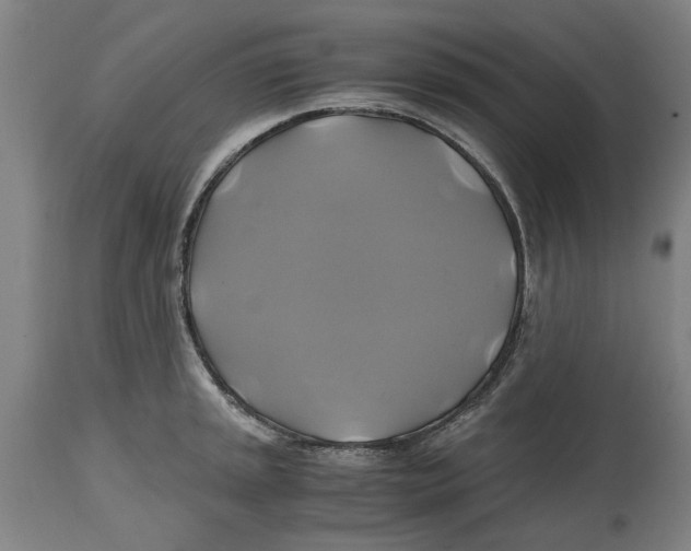 X0000114701045200911181312