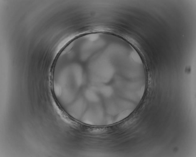 X0000114701047200911181312