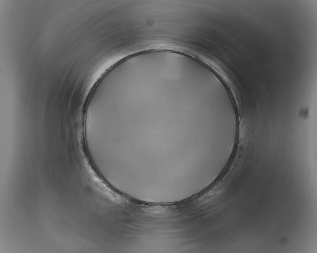 X0000114701048200911181312