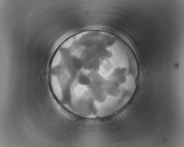 X0000114701050200911181312