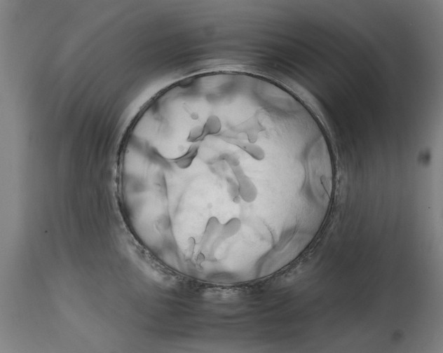 X0000114701051200911181312