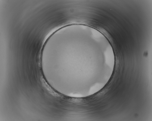 X0000114701052200911181312