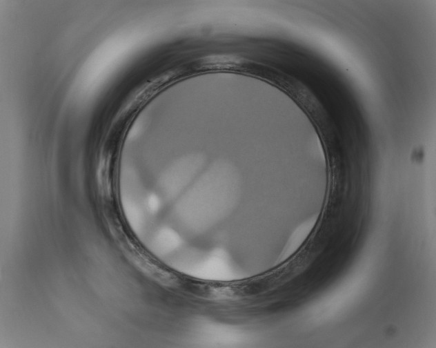 X0000114701054200911181312