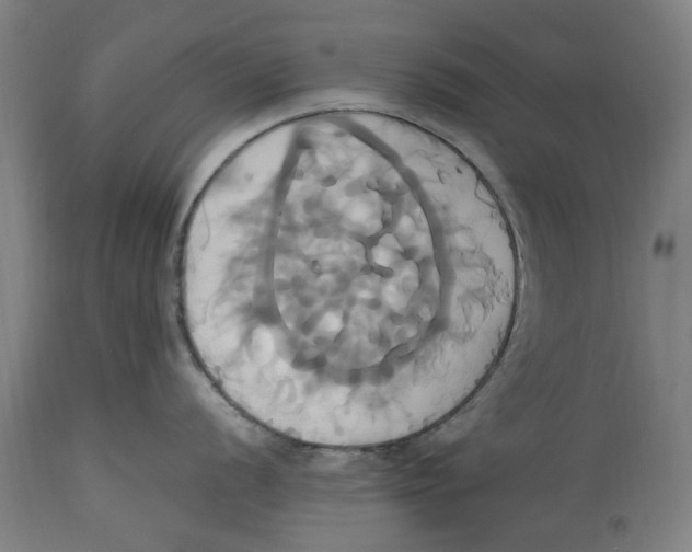 X0000114701056200911181312