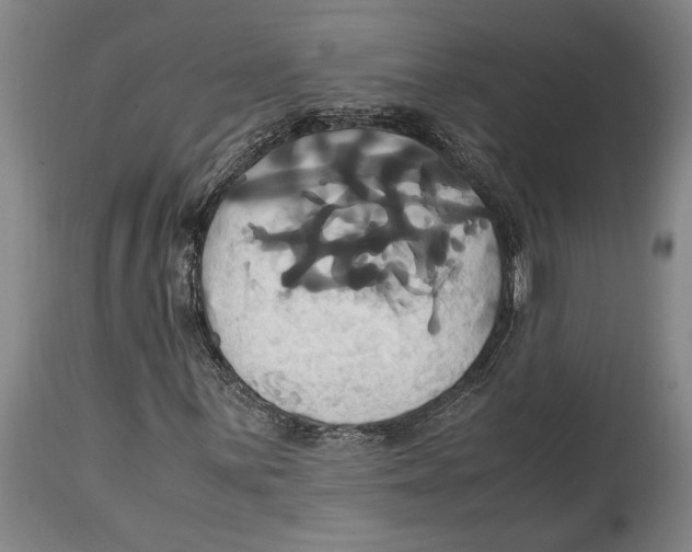 X0000114701059200911181311