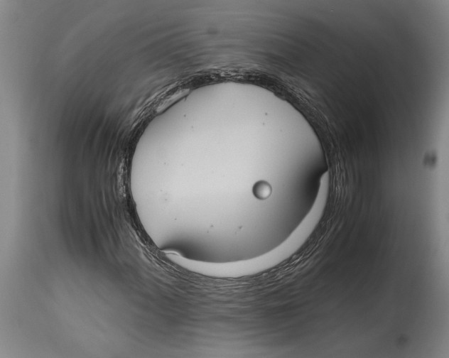 X0000114701060200911181311